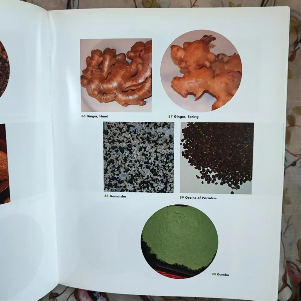 Herbs And Spices Book Glossary Cook Book Culinary Guide Cookbook Tony Hill EUC